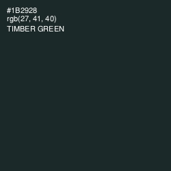#1B2928 - Timber Green Color Image